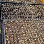 soil booster greenhouse garden 3