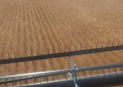 organic soil booster agriculture saskatchewan crop 2