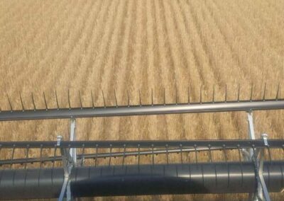 organic soil booster agriculture saskatchewan crop 3